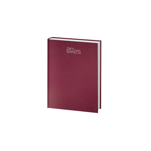 Maxi Agenda Giornaliera PB510