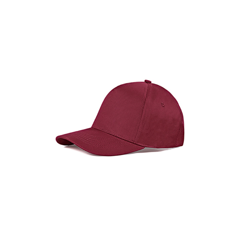 PM105 BORDEAUX